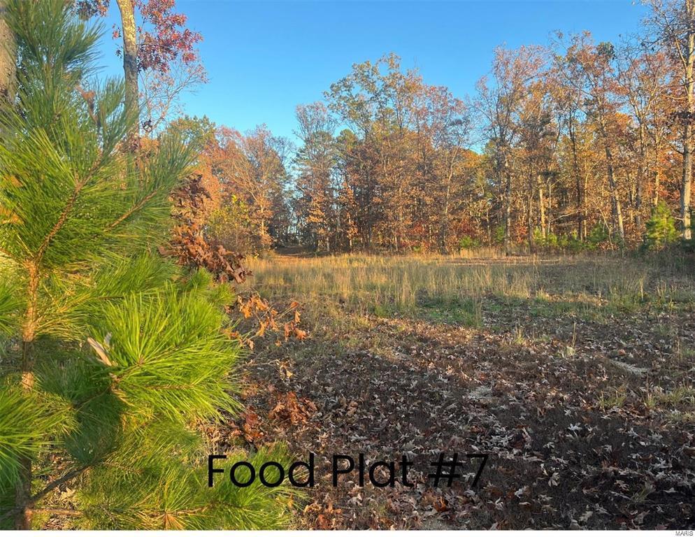 0 Tract 2 (160+/- Acres) Lodge Road  Potosi MO 65441 photo