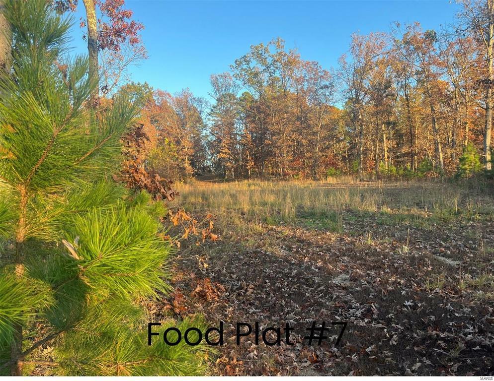 Property Photo: 0 Tract 2 (160+/- Acres) Lodge Road MO 65441