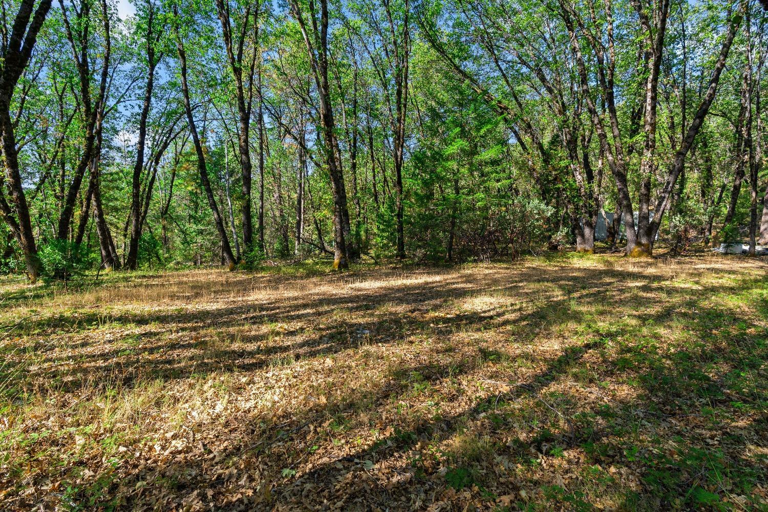 Property Photo: 21345 Kuntz Court CA 95959