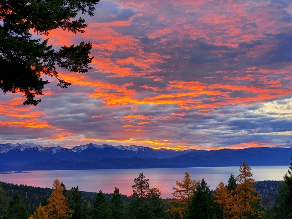 Property Photo: 865 Lone Osprey Ridge MT 59932