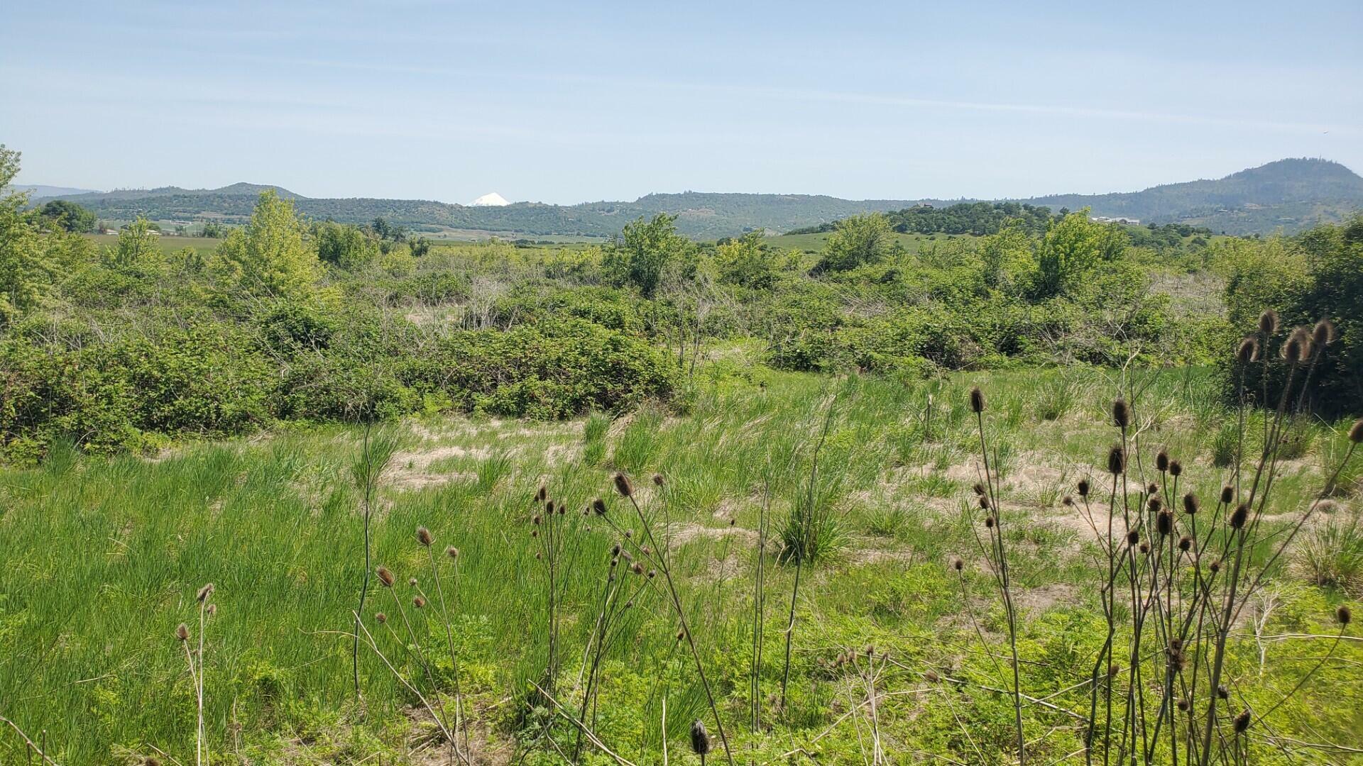 Property Photo: 0 Crater Lake Avenue 13.52 OR 97504
