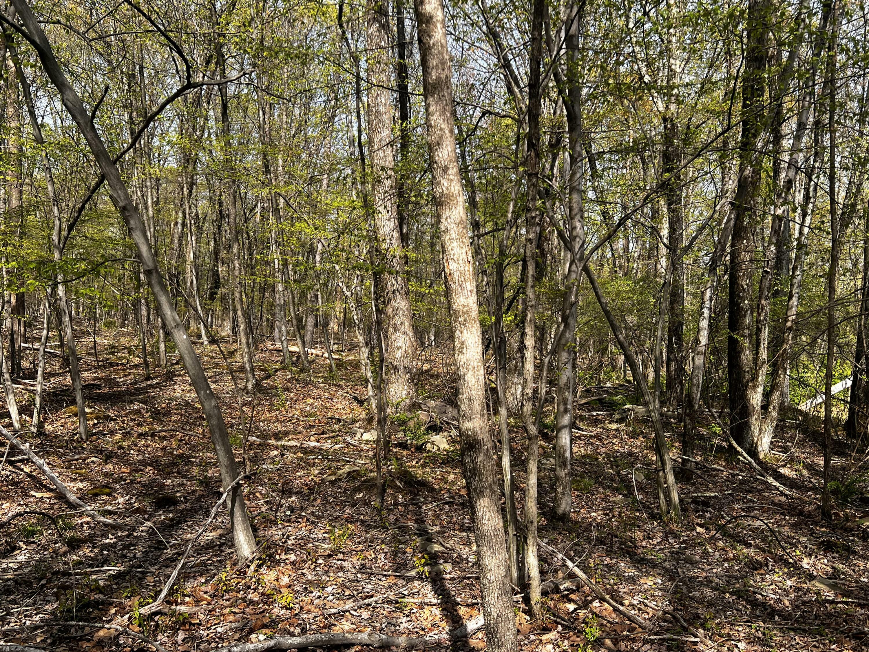 Property Photo: Lot 72 Larkspur/Woodruff PA 18360