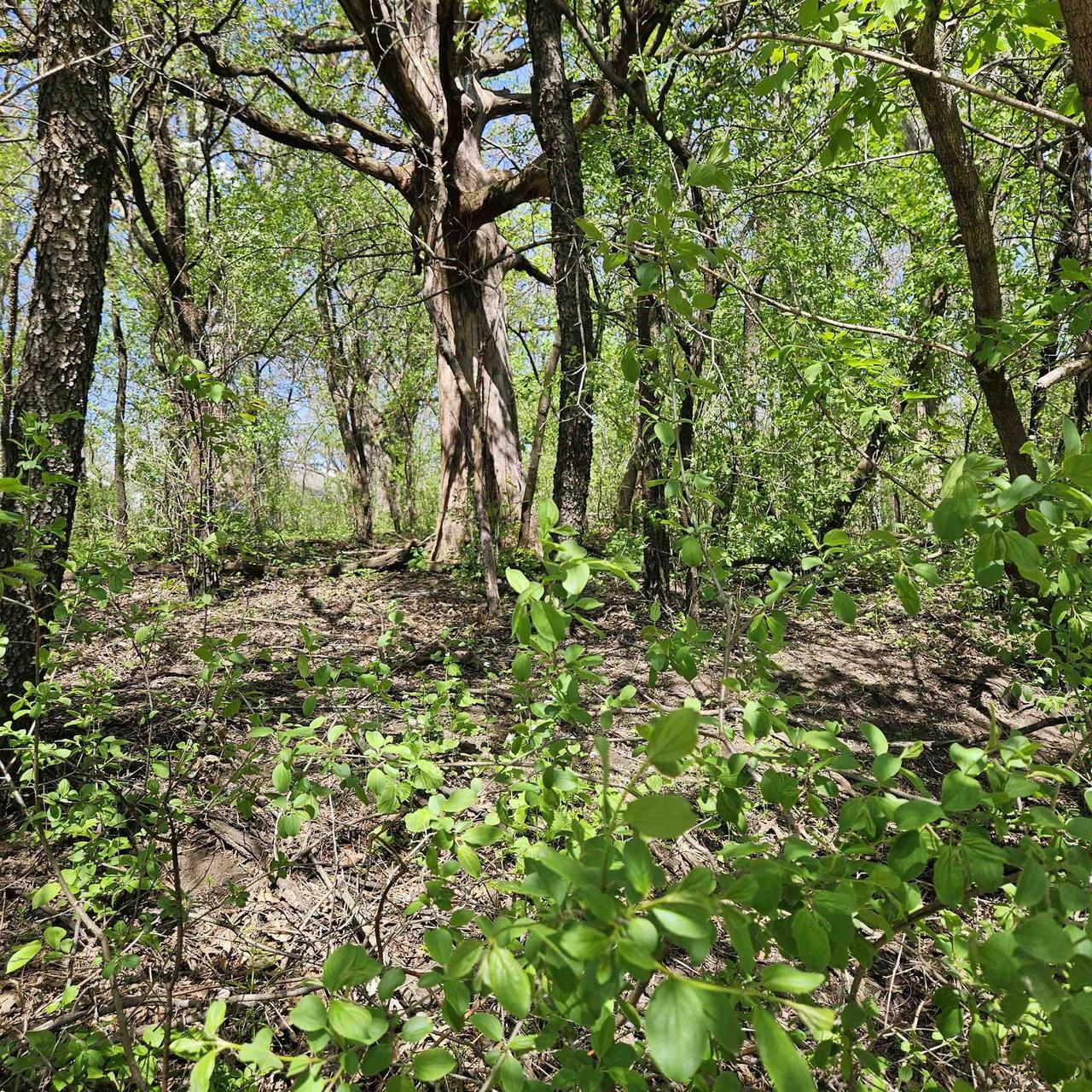 Property Photo: 2930 West Memorial Drive WI 53548