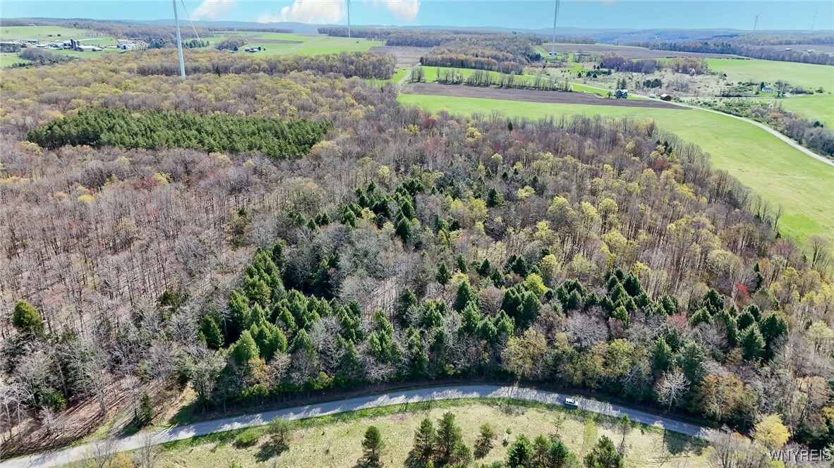 Property Photo: 2788 Williamson Road NY 14839