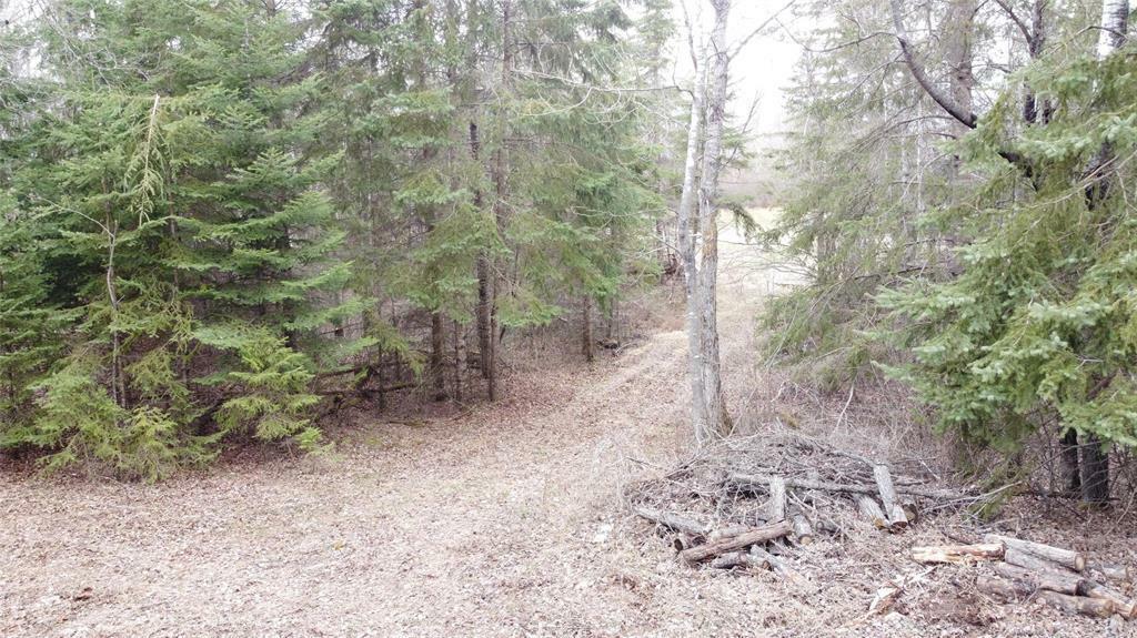 Property Photo: 0 90E Main Street Road North MB R0A 1B0
