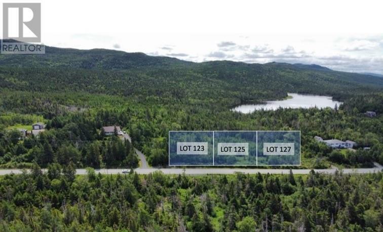 Property Photo:  121 Salmonier Line  NL A0A 2K0 