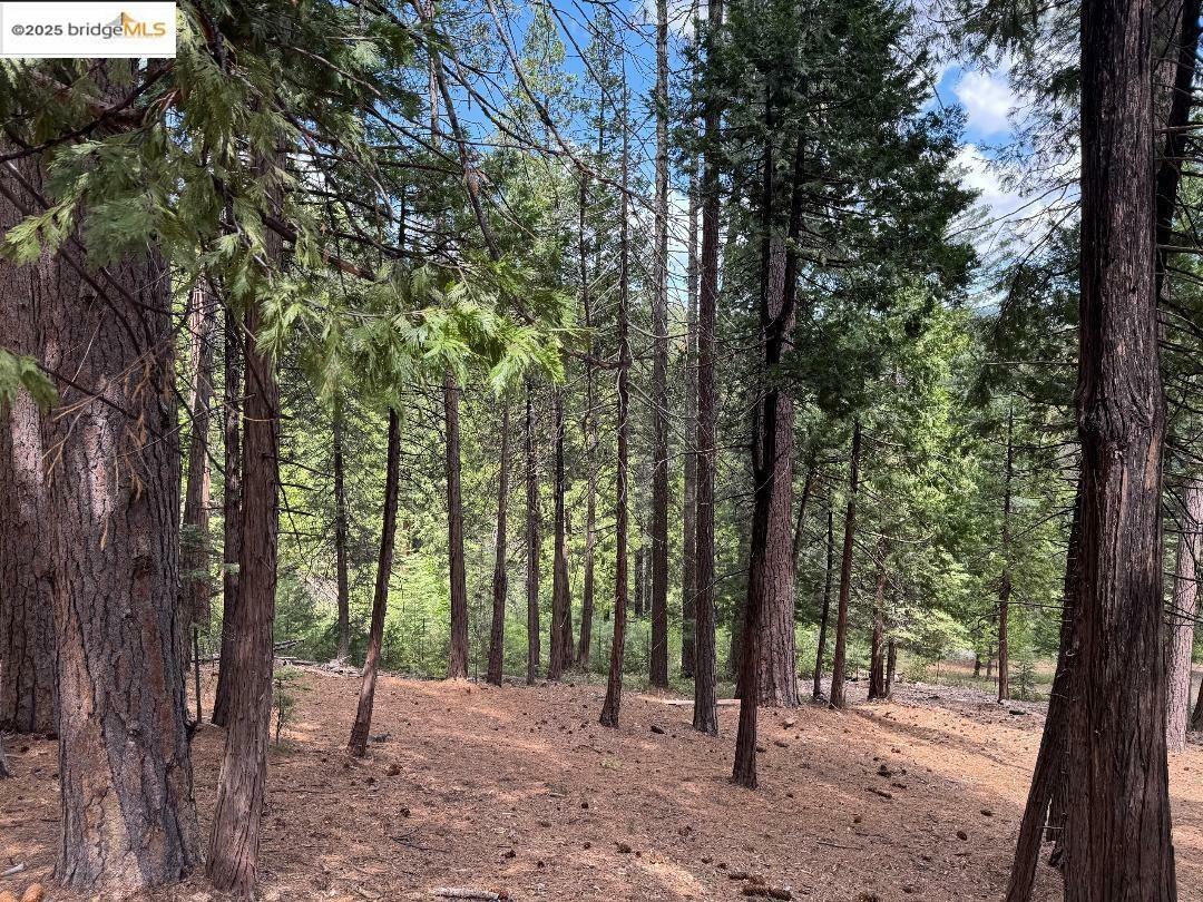 Property Photo: 24871 Prospector Dr CA 95346