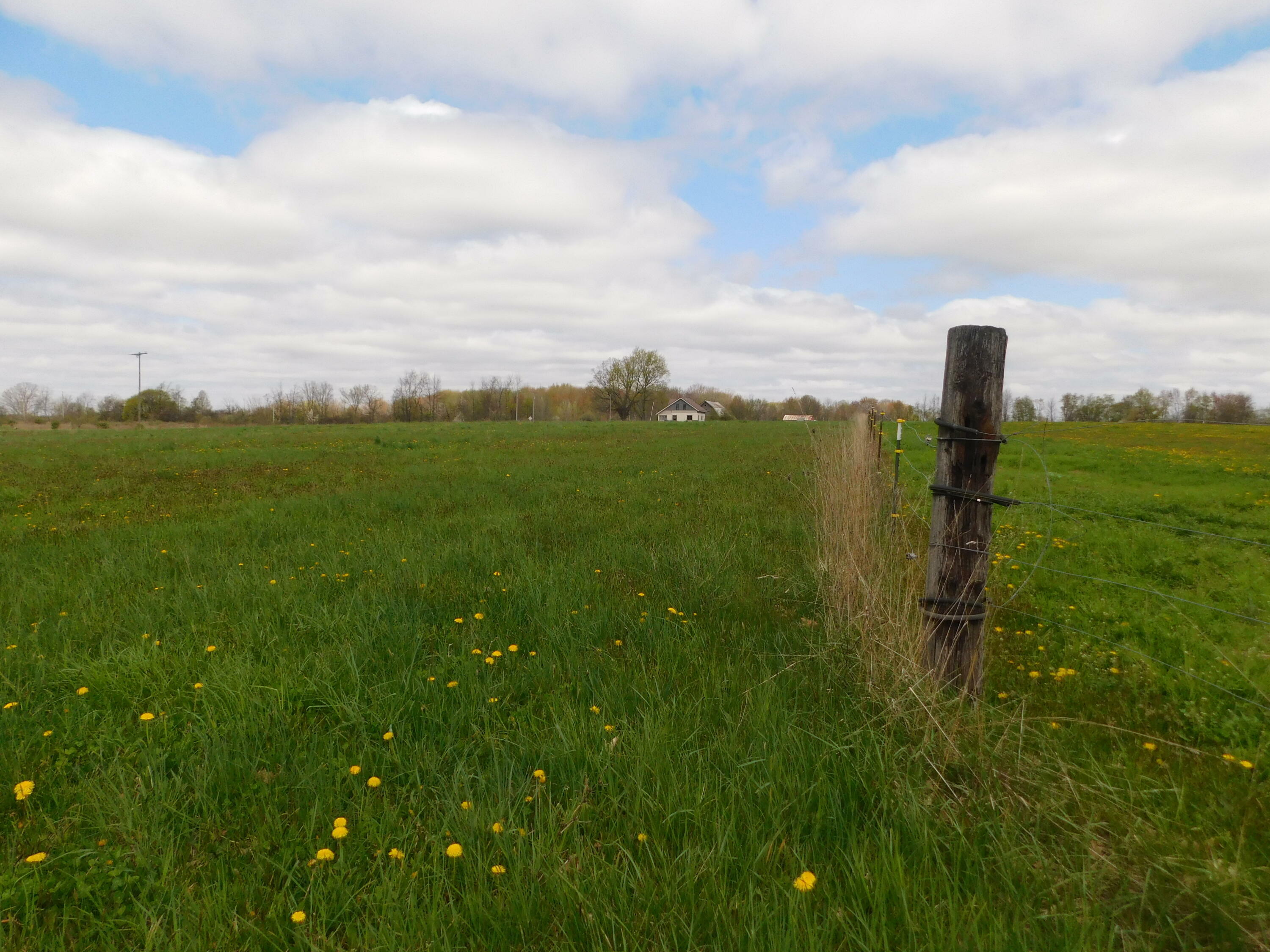 Property Photo: 12712 S Elder Avenue MI 49327