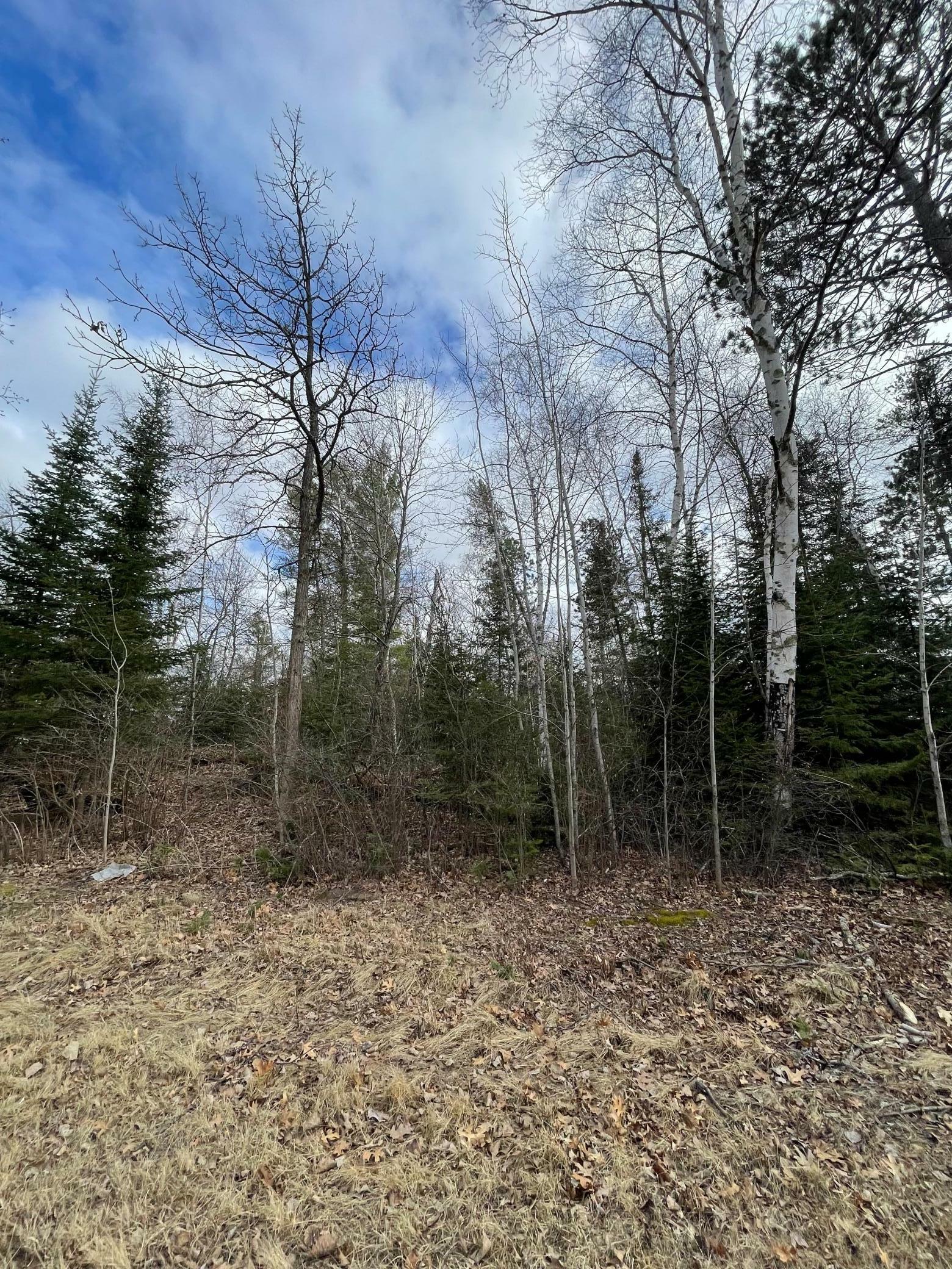 Property Photo: Tbd Wildwood Road MN 56633