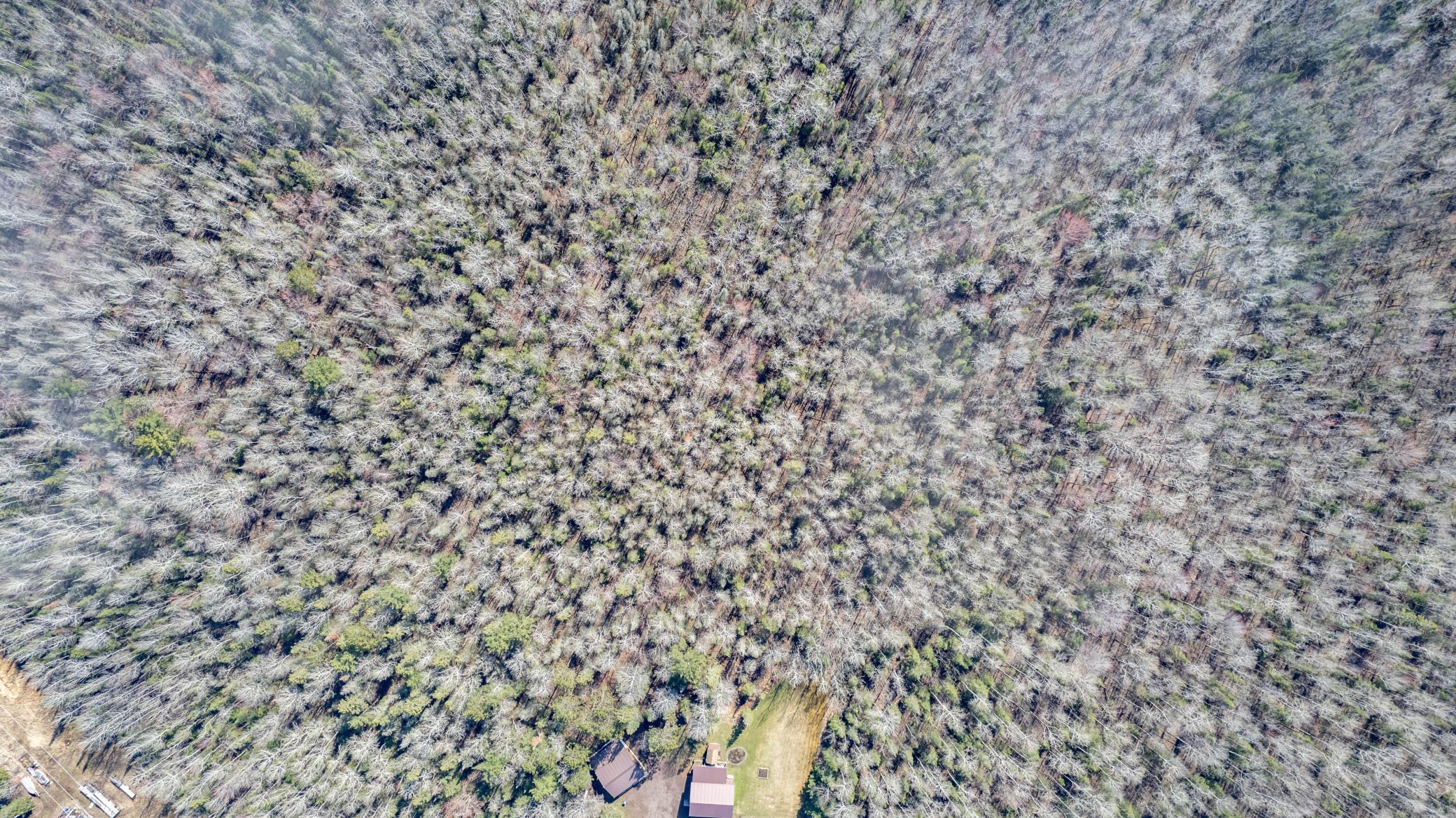 Property Photo: 56xx McQuade Road MN 55804
