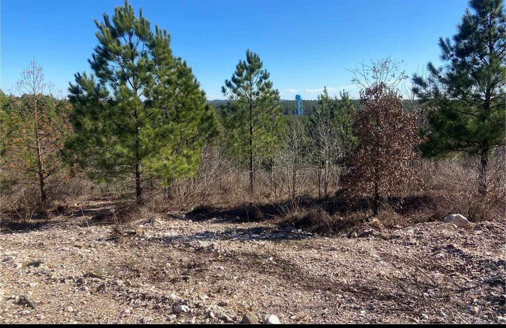 Property Photo: 310 Kaisley Blue Eye Way OK 74728