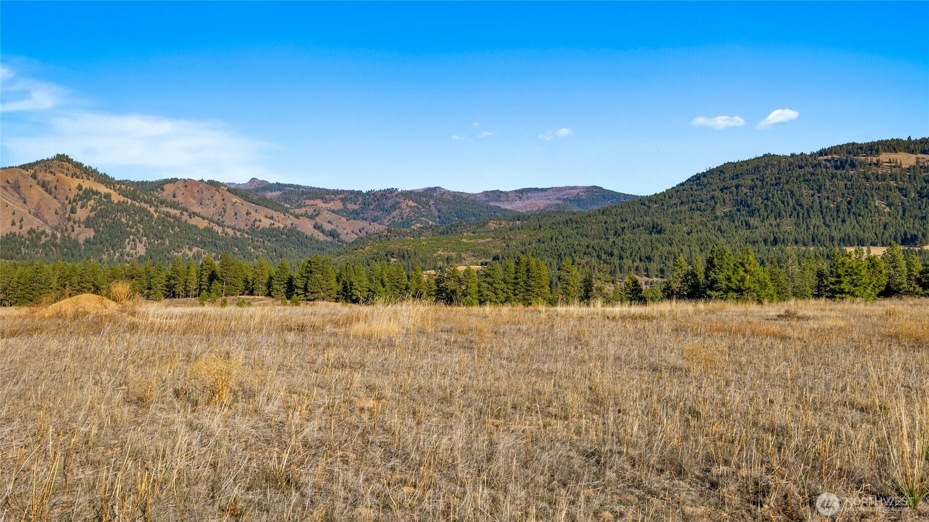 Property Photo: 1278 Mountain Creek Drive WA 98922