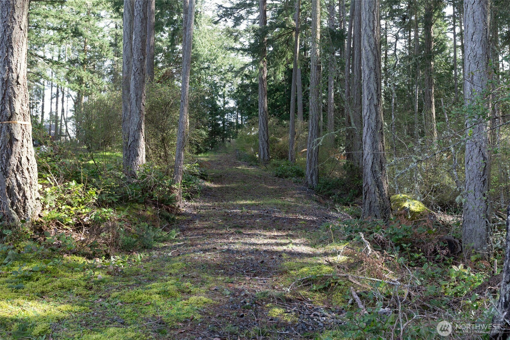 Property Photo: 87 Conifer Lane WA 98250