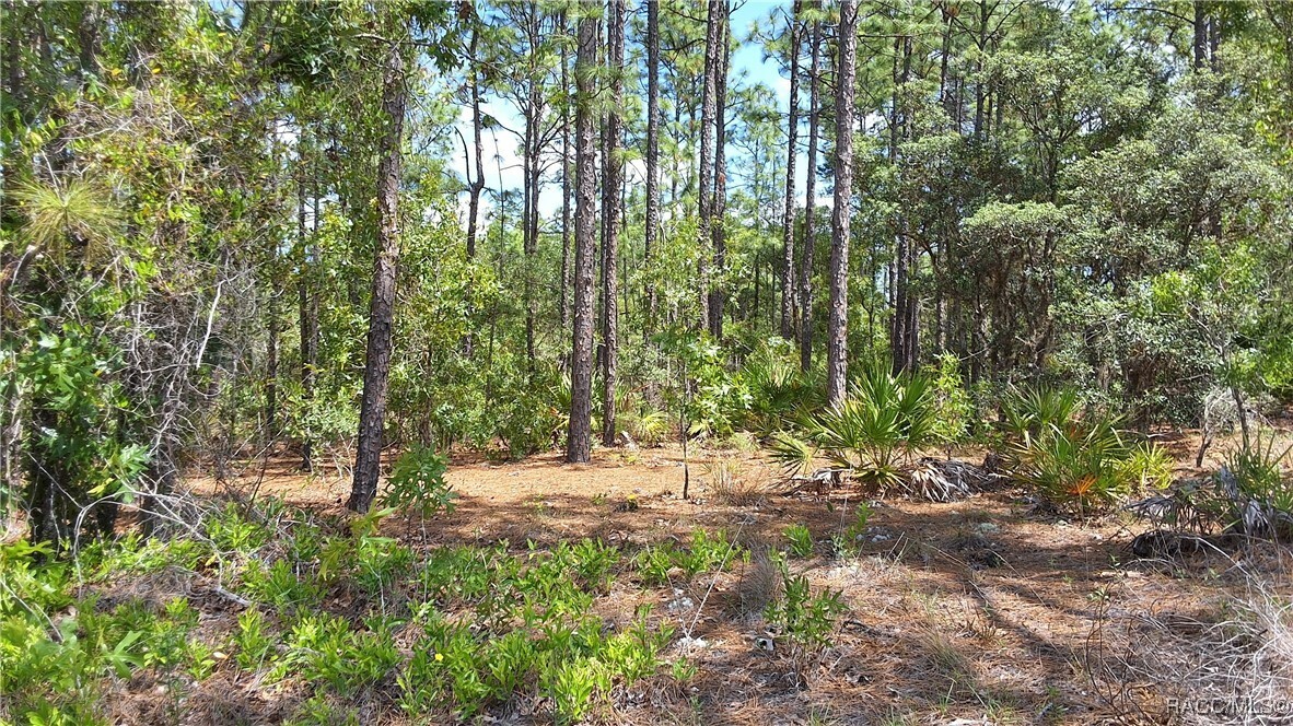 Property Photo: 4470 W Pansy Lane FL 34465