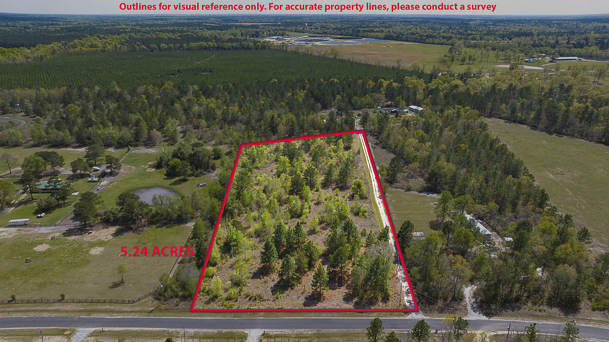 Property Photo: Lot 4 Pearl Lane SC 29853