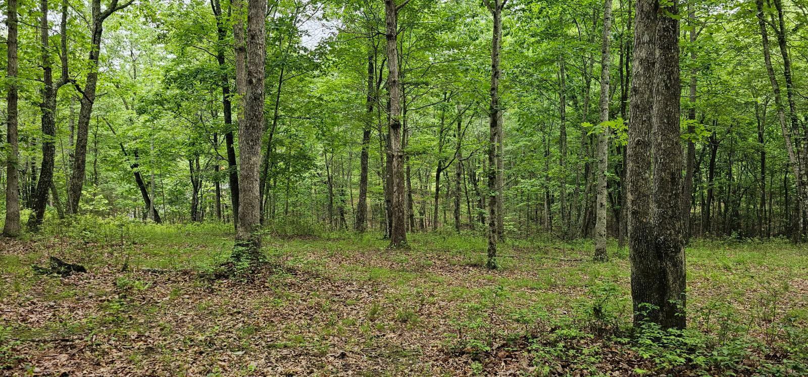 Property Photo: 0 2 Lake Trl TN 37327