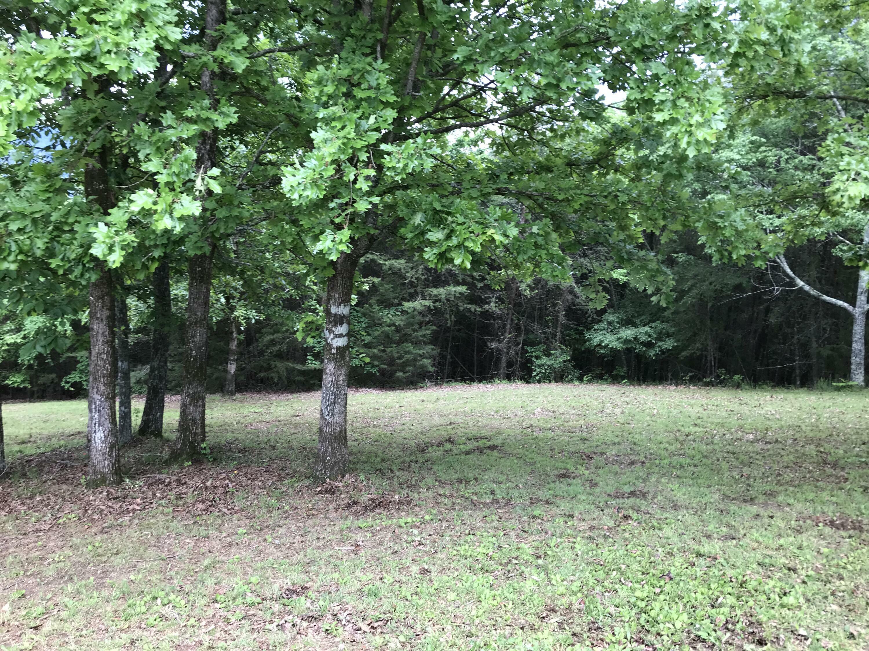 Property Photo: O Skyhigh Dr TN 37327