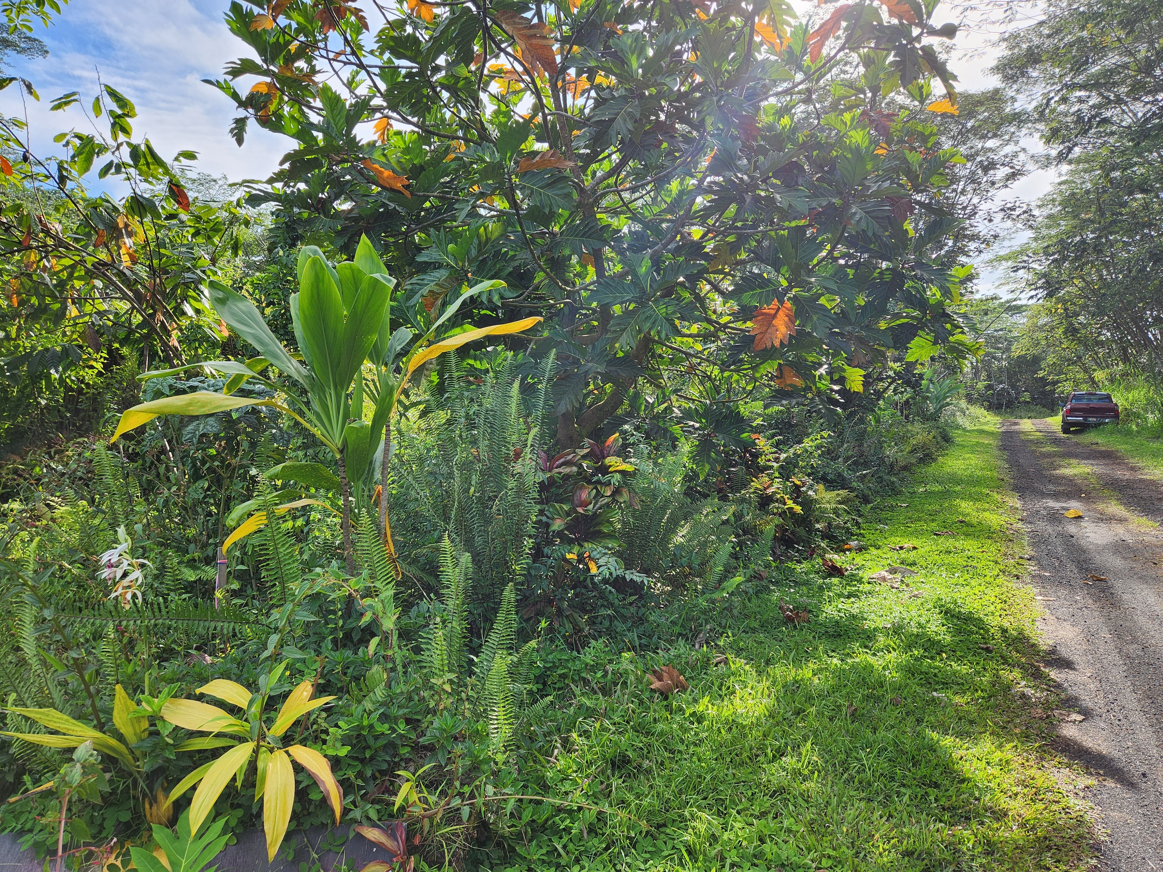 Property Photo: 14-3332 Lehua Rd HI 96778