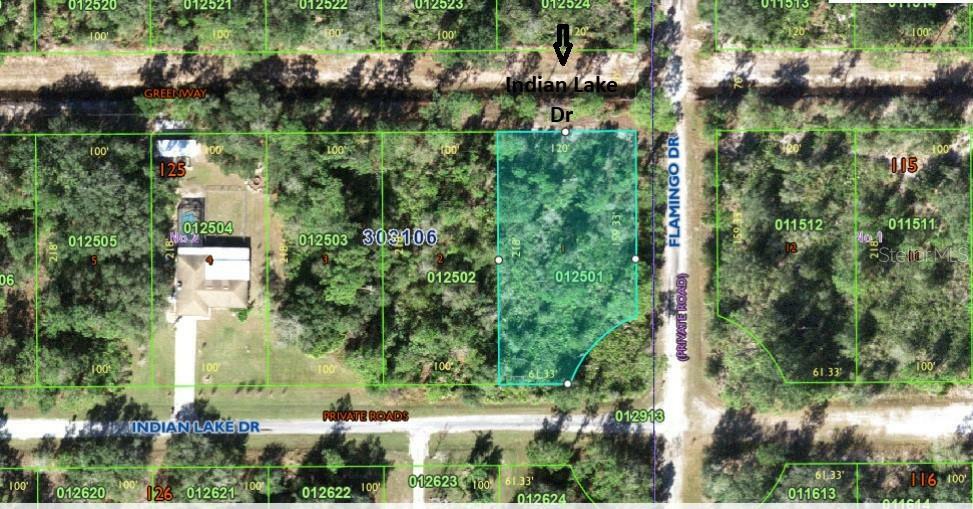 Property Photo: 702 Indian Lake Drive FL 33855