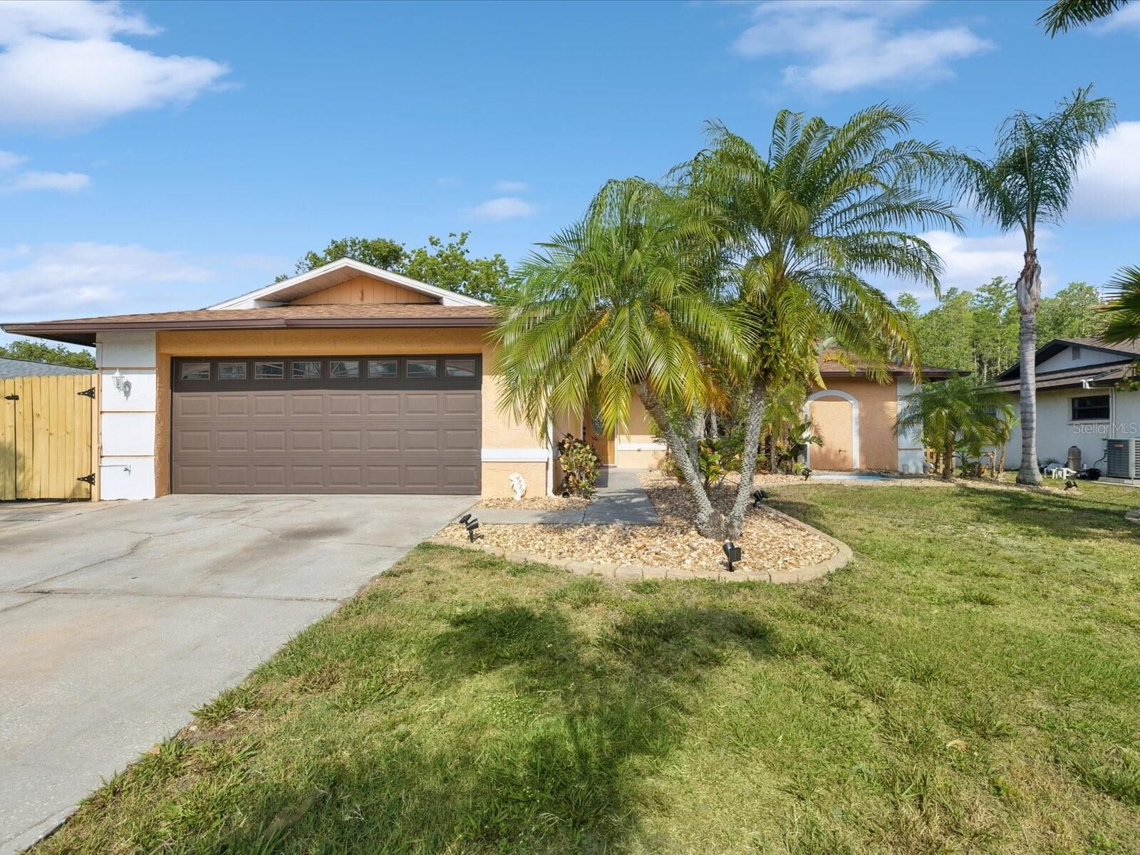 Property Photo: 4519 Swallowtail Drive FL 34653