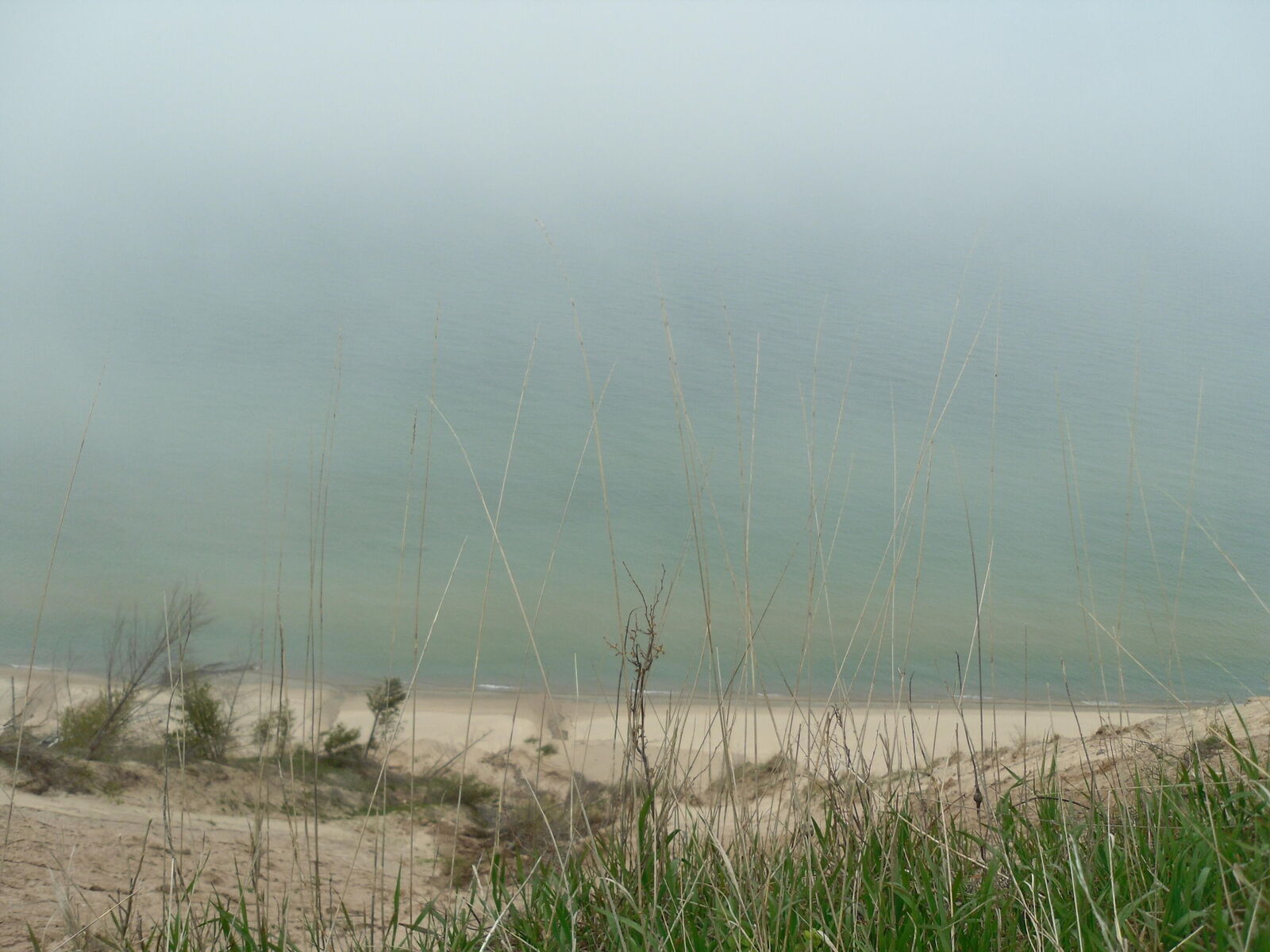 Property Photo:  S Lakeshore Drive S  MI 49431 