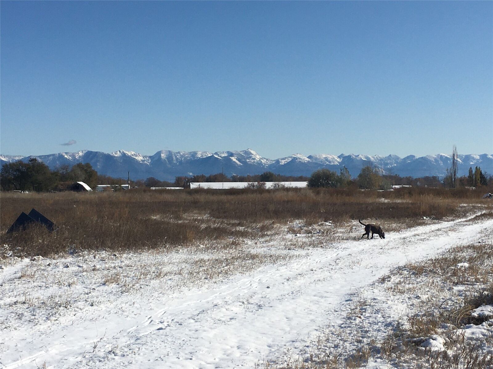 Property Photo: Nhn US 93 S MT 59901