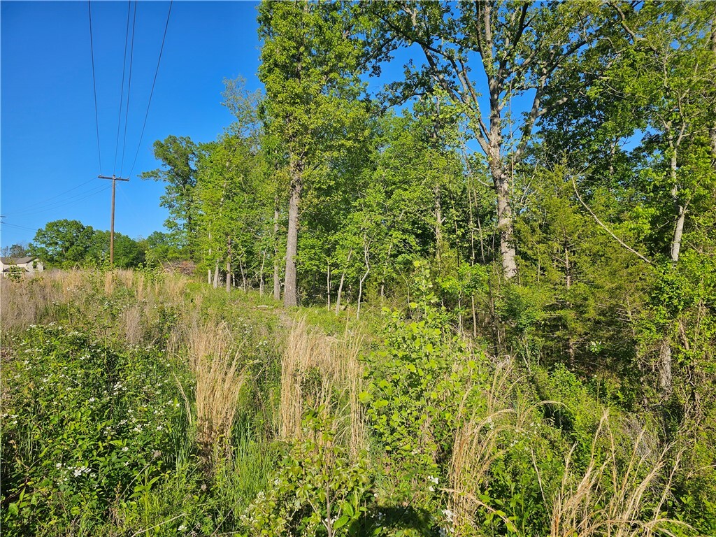 Property Photo: Tbd Lot 27 Wildwood Drive AR 72756