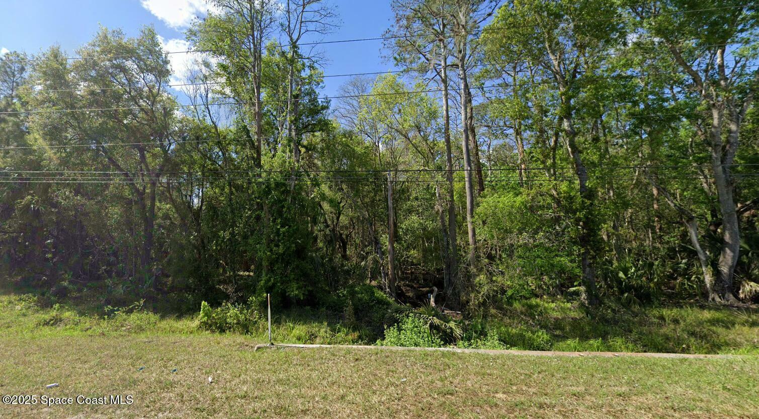Property Photo: 0 Quail Ranch Road FL 32168