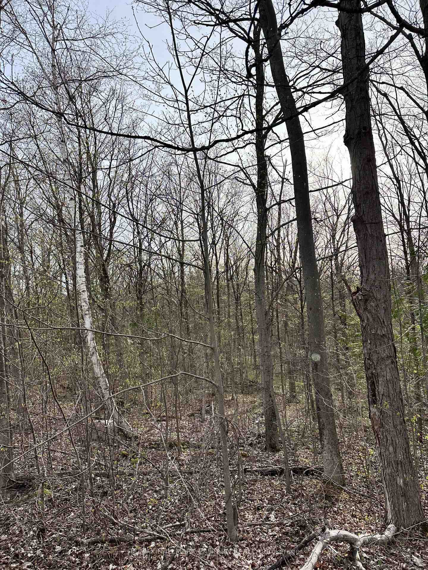 Photo de la propriété:  62 Trent View Drive  ON K0L 1Y0 