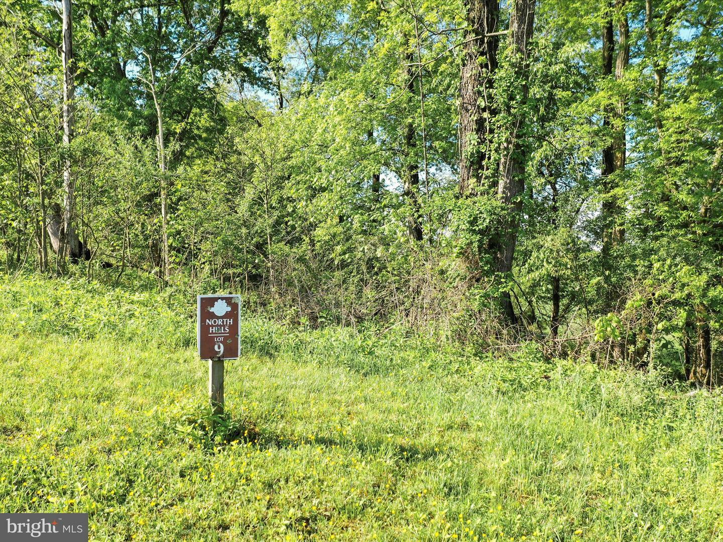 Property Photo: Briar Mountain Drive Lot 9 WV 25443