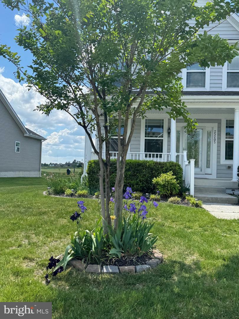 Property Photo: 25205 Lumberton Drive DE 19966