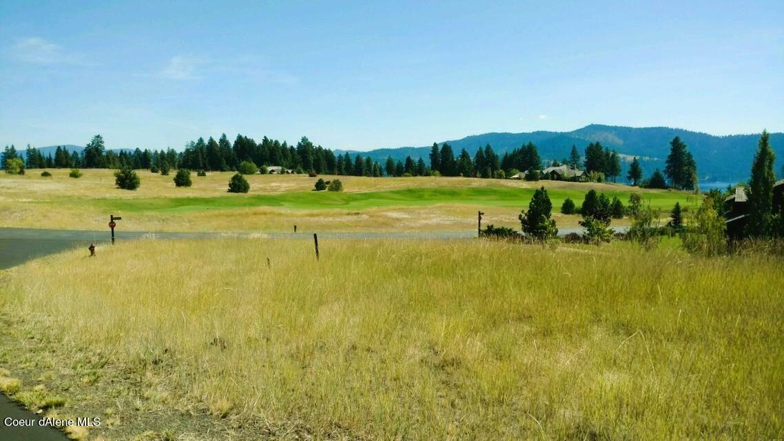 L118 &Amp L119 W Dunite Ct  Coeur D'Alene ID 83814 photo