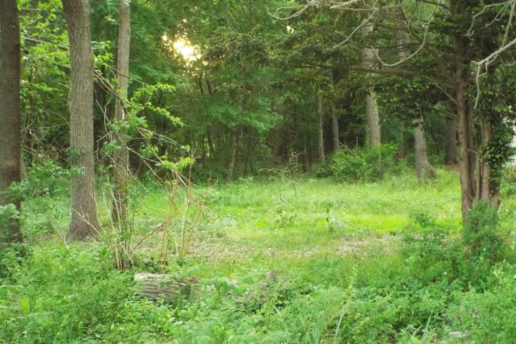 Property Photo: Lot 167A Sand St VA 23442