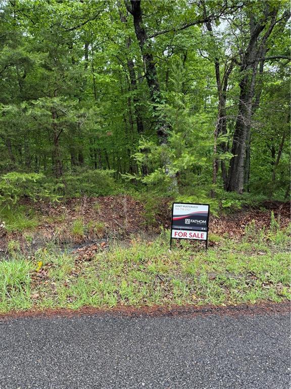 1275 Foxhound Trail NE  Ranger GA 30734 photo