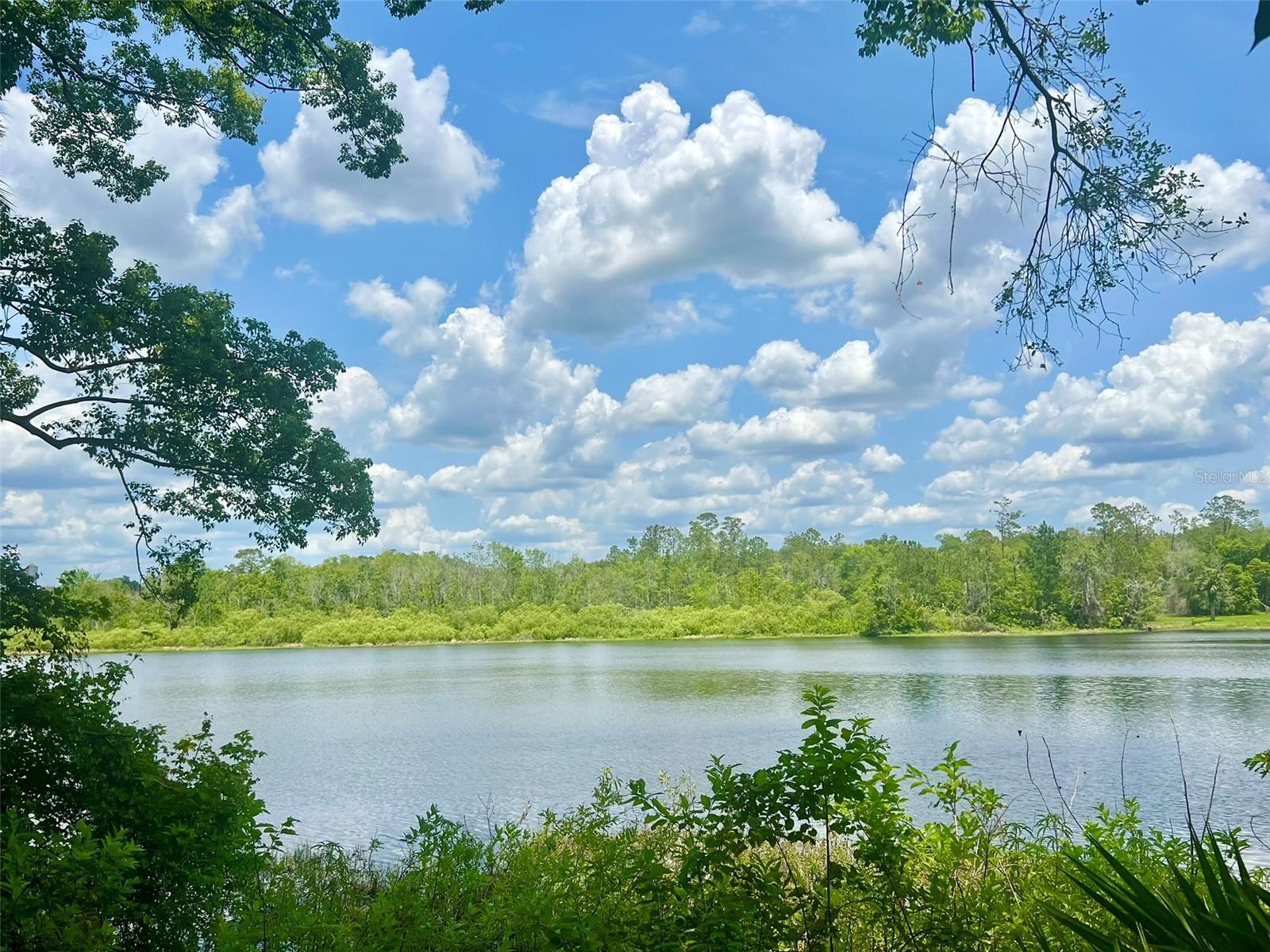 Vista Street  Lake Helen FL 32744 photo