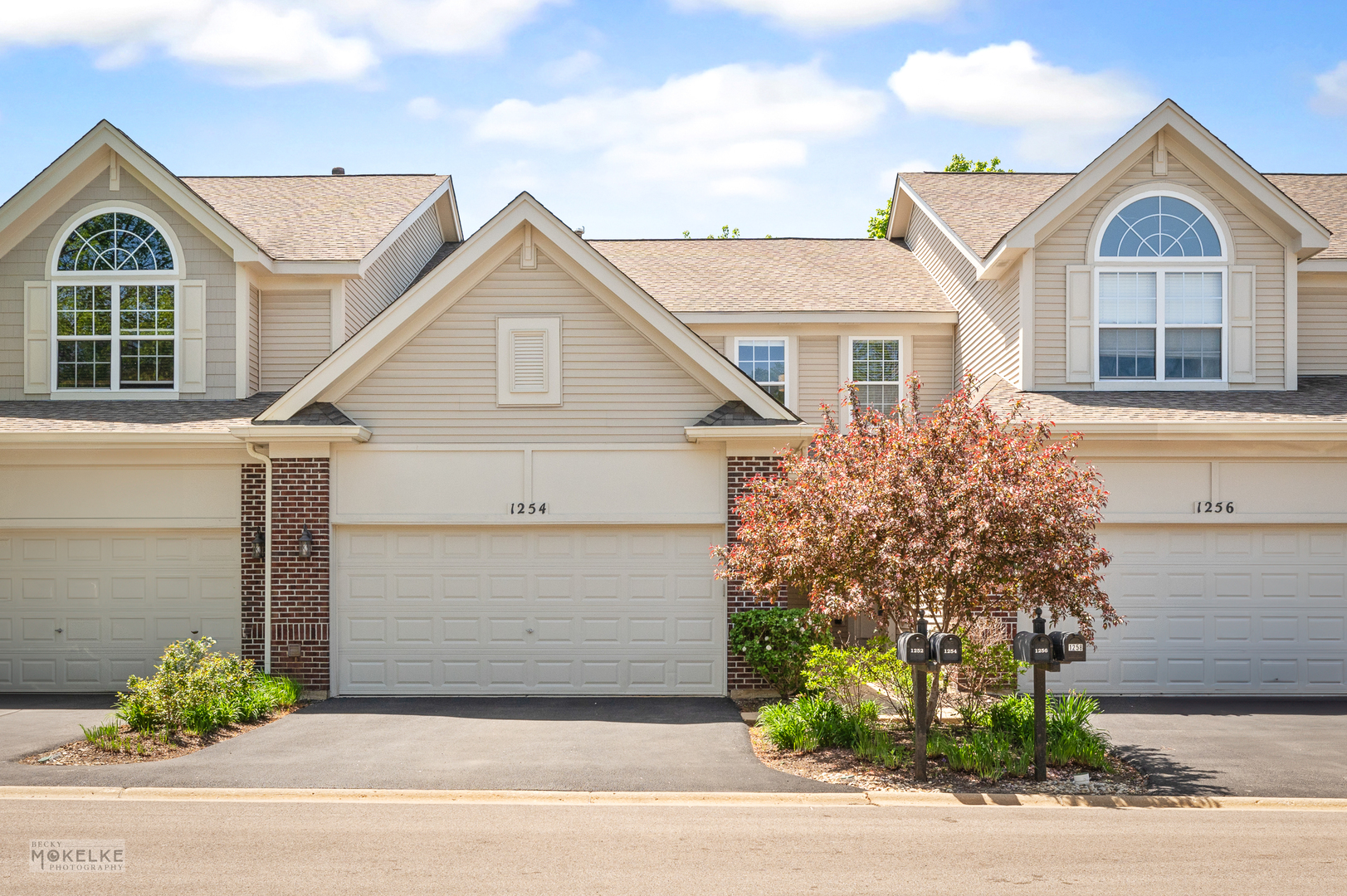1254 Townes Circle  Aurora IL 60502 photo