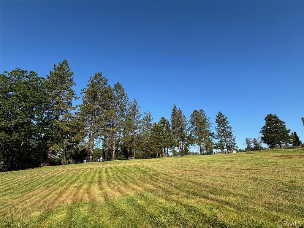 Property Photo:  0 Libby Road  CA 95969 