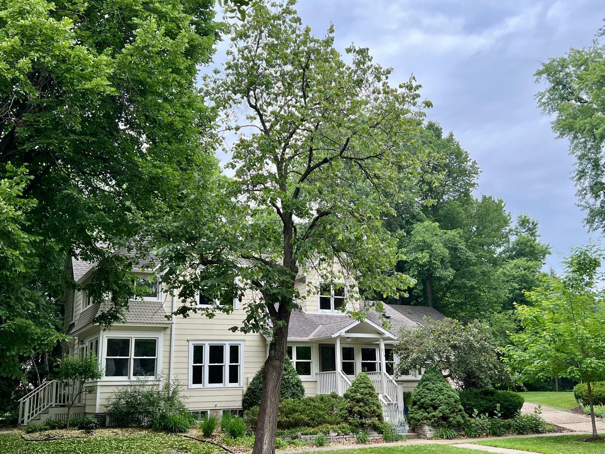 Property Photo: 319 Elm Street MN 55057