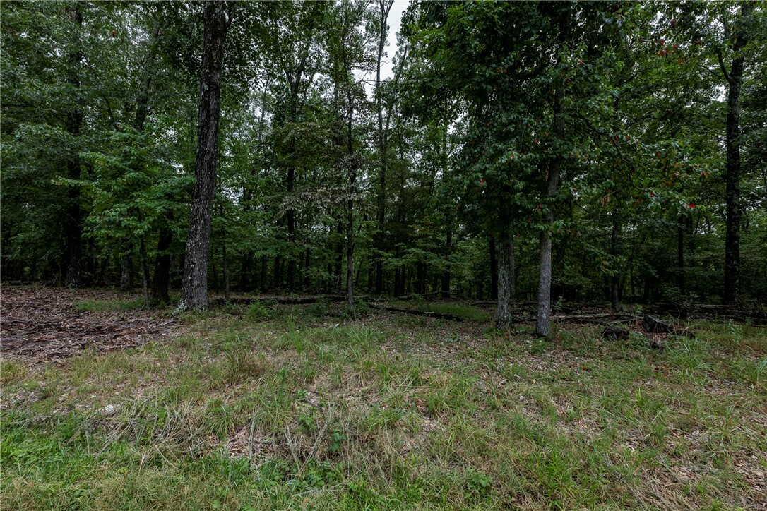 Property Photo: 5.32 Acres Deer Meadow Drive AR 72732