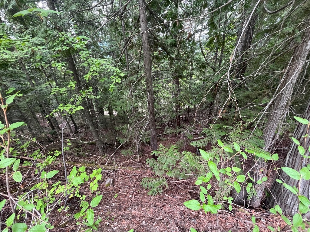 Photo de la propriété: Lot 37 Vickers Trail BC V0E 1M8