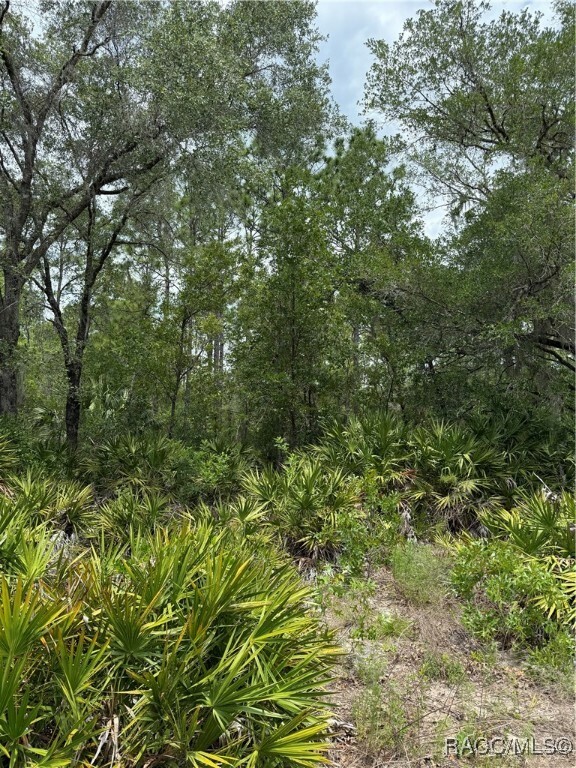 Property Photo: 8150 N Downs Road FL 34428