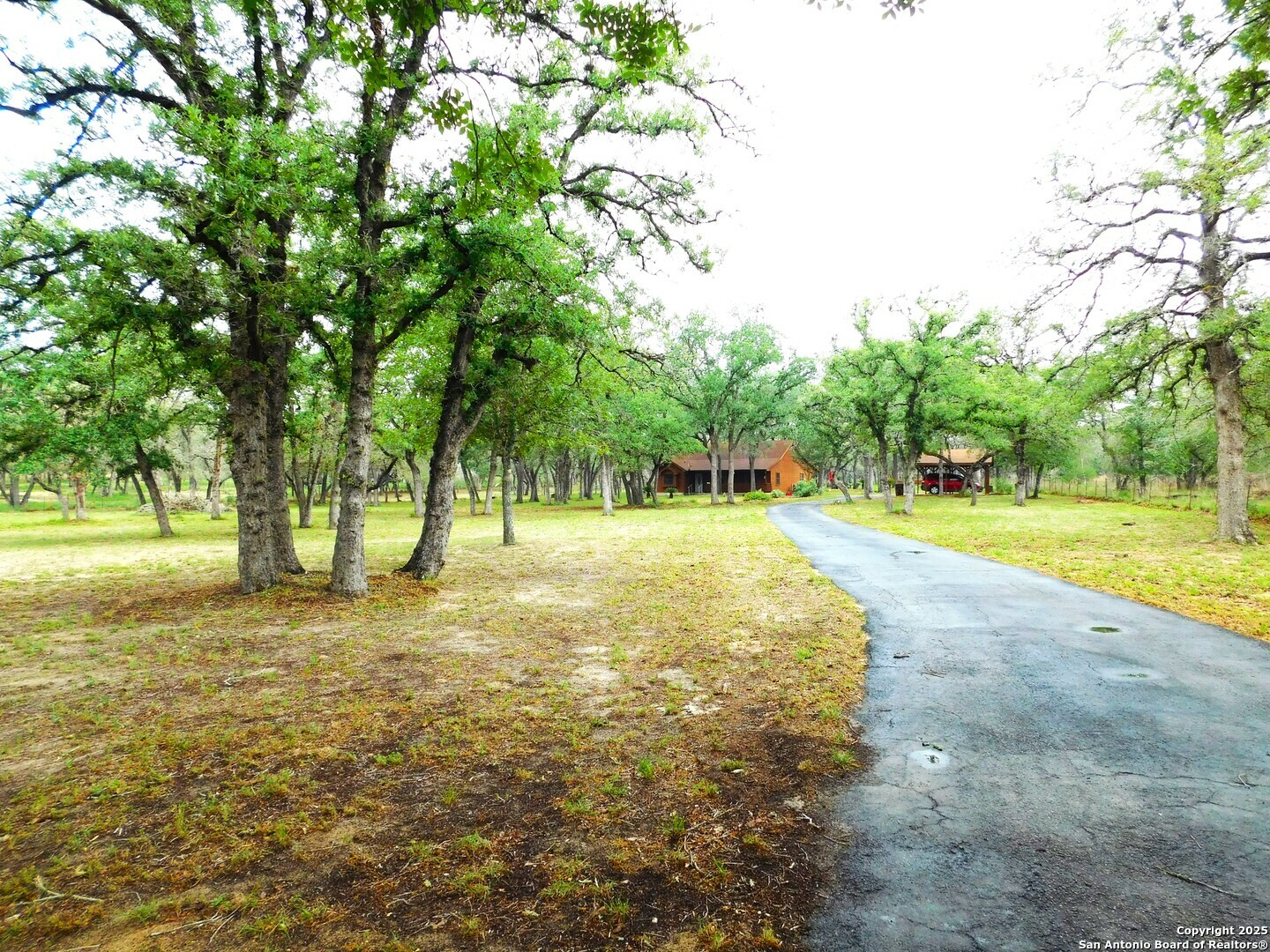 Property Photo: 525 Cherry Ridge TX 78114