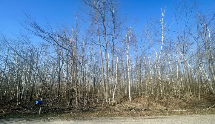 1868 Mockingbird Lane  Gaylord MI 49735 photo