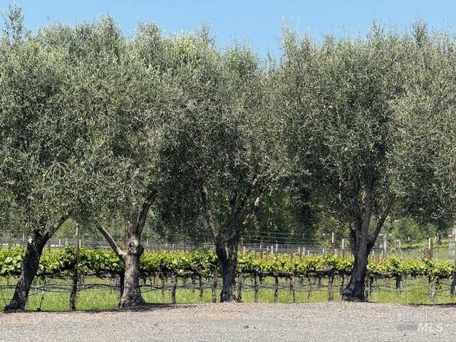 Property Photo: 5375 Hall Road CA 95401