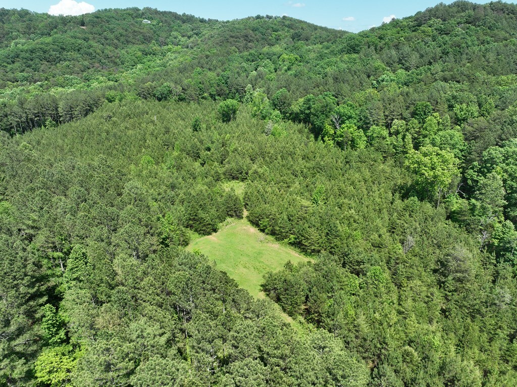 Property Photo: 0 Apple Road GA 30734