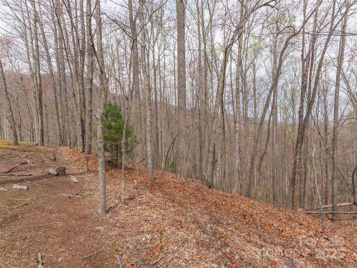 Property Photo: 00 Michele Lane 4 NC 28748