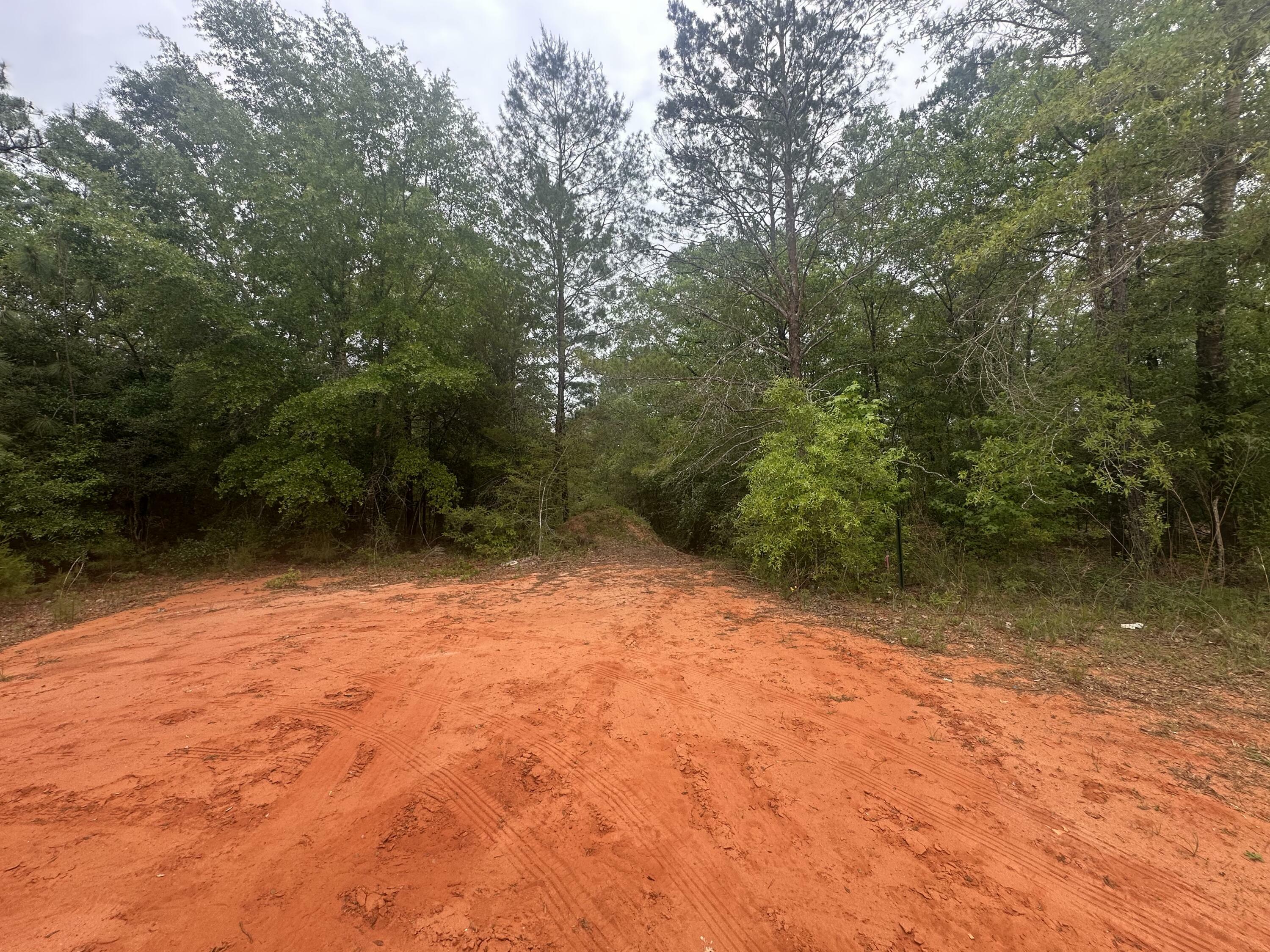Property Photo: Lot 20&21 E Orange Blossom Avenue FL 32433