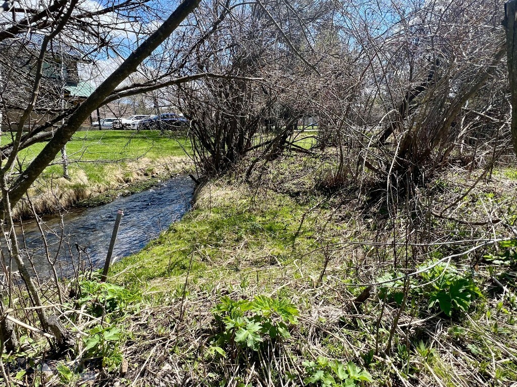 Property Photo: Tbd Spring Creek Drive MT 59715