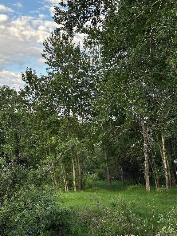 Property Photo:  Tbd Spring Creek Drive  MT 59715 