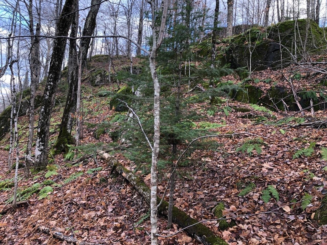 Property Photo: Outlot 3 Skye Dr WI 54565